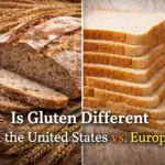 Comparison of rustic European sourdough bread and American sliced sandwich bread representing differences in wheat processing and gluten digestion