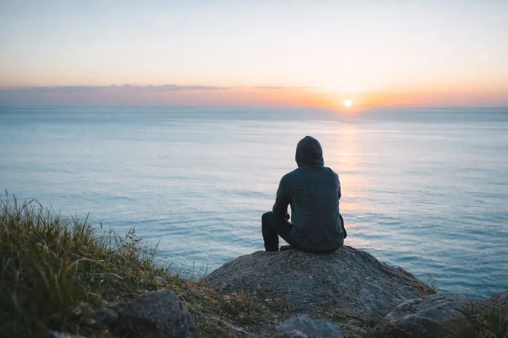 Person sitting quietly on a coastal rock at sunrise illustrating why the brain needs quiet and mental clarity